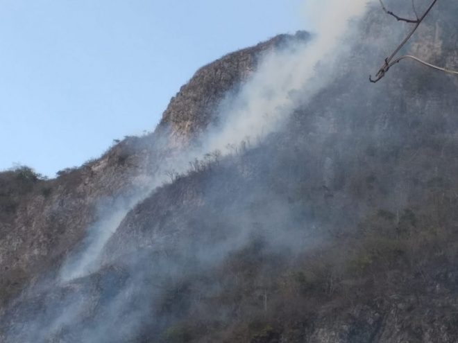 Chiapas, con mas bosques… e incendios