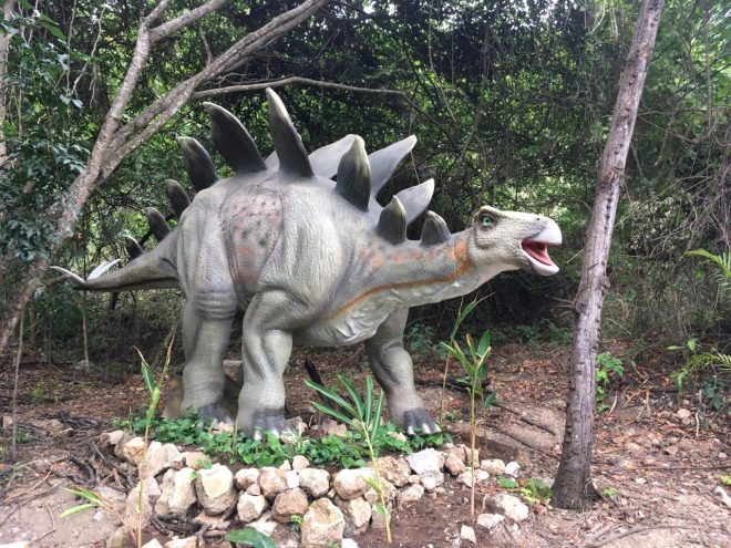 Dinosaurios en Chiapas: un sendero de medio kilmetro al pasado