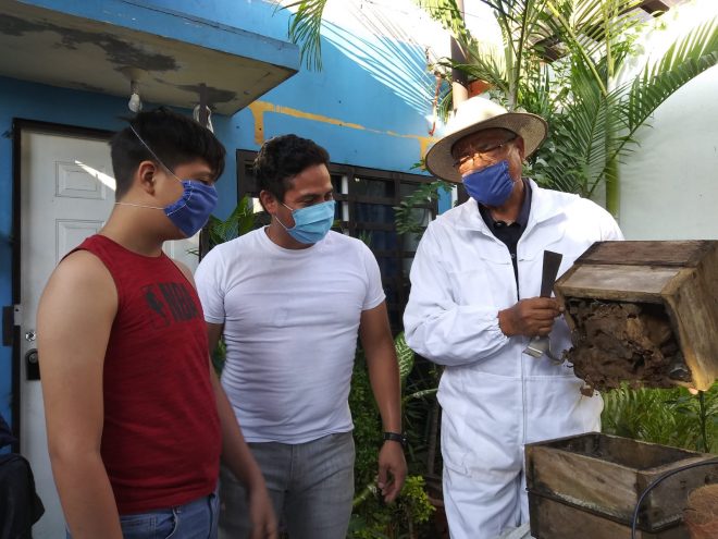 Unach crea un centro de investigación para recuperar cadena productiva de la miel