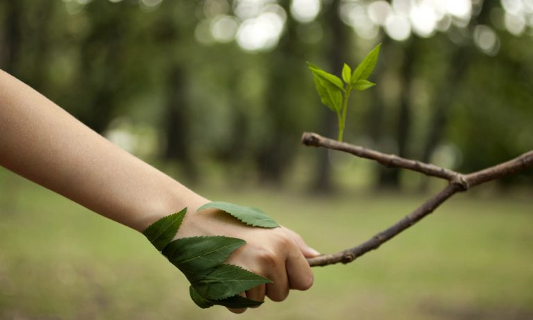 Mas Que Un Amante De La Naturaleza, Se Un Activista Ambiental