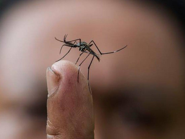 Casos de dengue registran considerable reduccin comparado con 2020