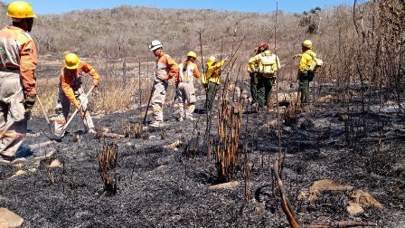 Se han registrado 267 incendios de 2003 al 2021 en Parque Cañn del Sumidero