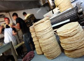 El precio de la tortilla aumentará más de lo esperado este año, advierten representantes del sector