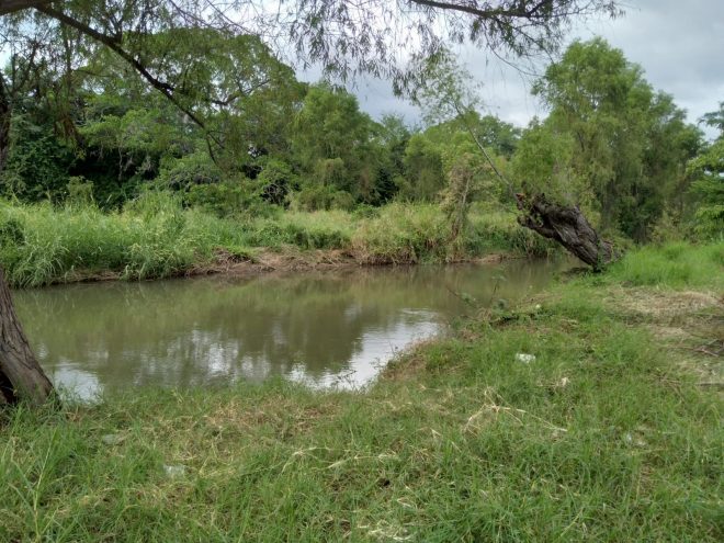 Río Pacú permanece abandonado; estudiantes analizan contaminación en él