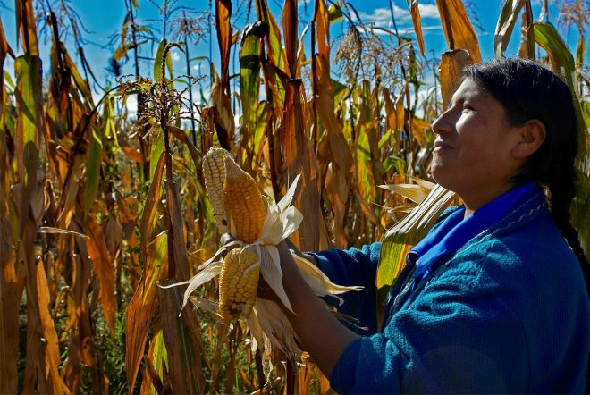 ¡A Toda Madre… Tierra!, iniciativa que busca apoyar a mujeres que luchan por la soberanía alimentaria