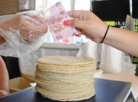 «A comer bolillo»: tortilla tendrá otro posible incremento; empresarios preparan bloqueo