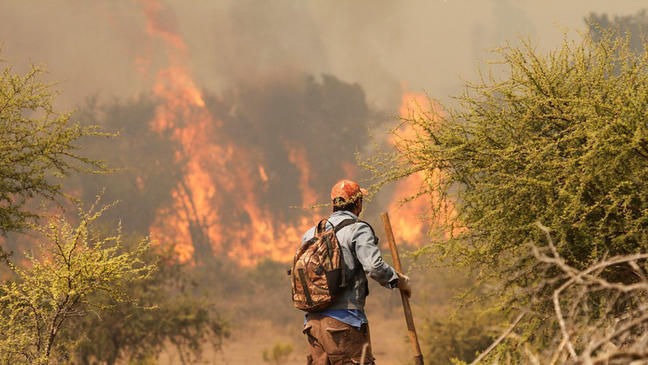 Por aumento de personal de combate, incendios en Chiapas disminuyen 30 % en 2022