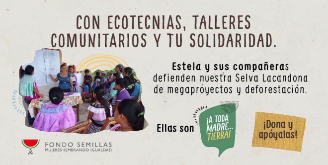 ¡A Toda Madre… Tierra!: arranca segunda fase de campaña para apoyar a mujeres defensoras de los ecosistemas