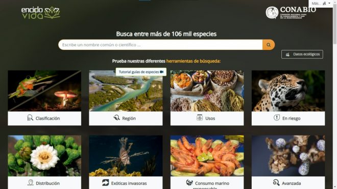 EncicloVida: otra forma de explorar la biodiversidad de Mexico