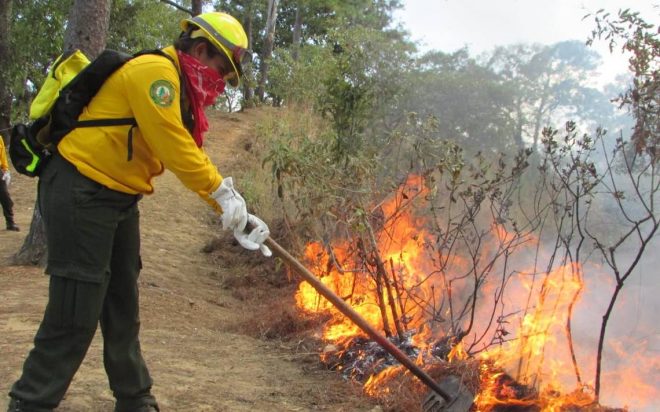 Chiapas mantiene tres incendios forestales activos