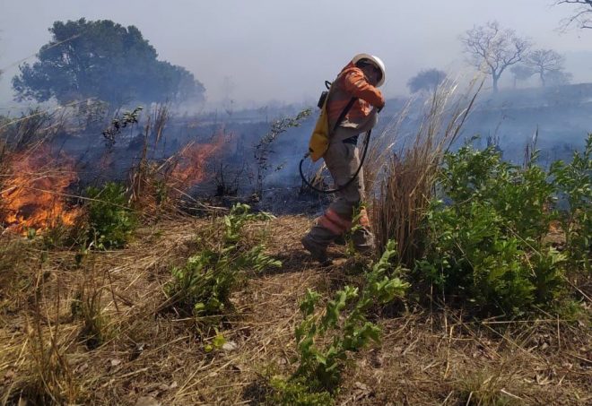 Chiapas con 372 incendios forestales y canicula agrava sequia en el campo