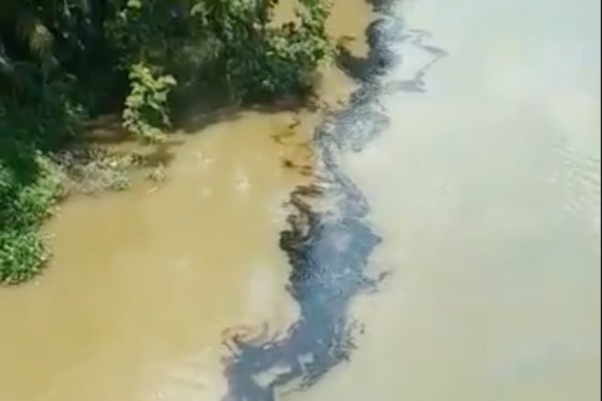 Persiste desastre ecolgico en rio Mezcalapa por derrame de petrleo