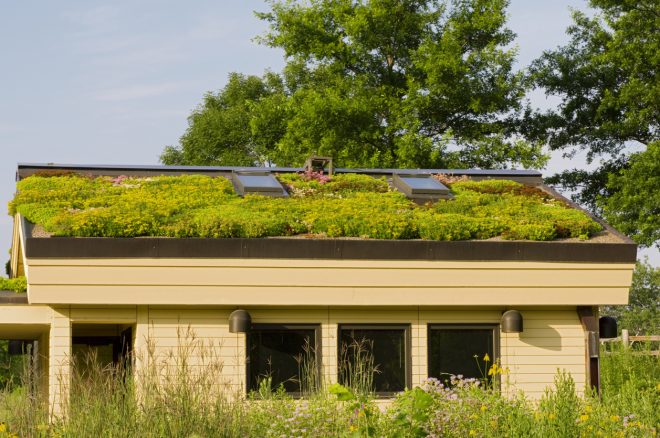 Combate el cambio climatico desde el techo de tu casa