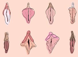 No son lo mismo: vulva y vagina. La importancia de llamarlos por su nombre