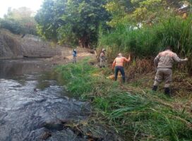 Primera etapa de limpieza del río Sabinal: 91 toneladas de desechos