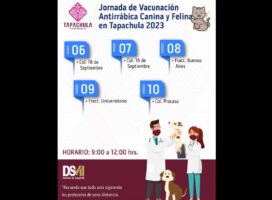 Amor es michis y lomitos vacunados: aprovecha la campaña antirrábica en Tapachula