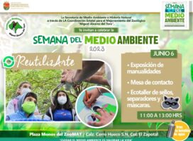 Cuidar es acción: participa en la “Semana del Medio Ambiente 2023”