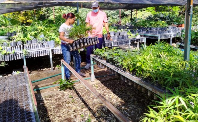 ¡Vamos!: 74 años del Jardín Botánico Dr. Faustino Miranda