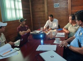 Bosques sanos, una prioridad en Chiapas